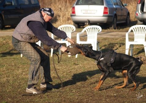 The christmas training 27.12.2006